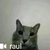 antoyo_35