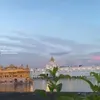 amanbassi86