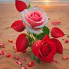 sallahuddin.achakz