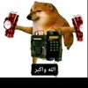 v.qqkk