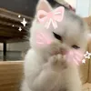 al_schamiya1