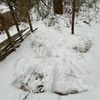 trent_solos2.9