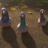 username_notfound99
