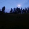 sveltinlujan15