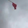 memes_wolrd