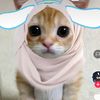 zuzu_zazacute
