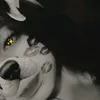 brenduu699