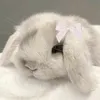 luvqrs7