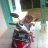 saepuloh515