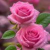 yelena345