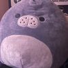 goshdarnmanatee