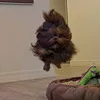 b_beee0.5