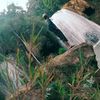 zawminhtoo85