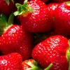strawberry_cookie44