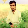 alihassan00345