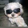 maybel_0201