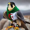 soufyanbouzenda