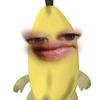 zona_taa