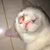 daela.cinta
