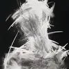 cdmusic31_10