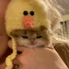 c_nibee