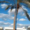 ali.aljabry369