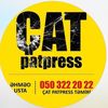 cat_patpress_temir_1995