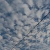 riz_17_10