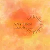 anytinnunderthesun