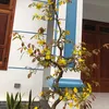 nguyenthiminhtam250867