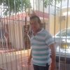 wialmanplataromer