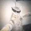 cavalhoxz