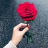 mariyamqa6