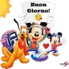 loredanadecesar63