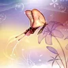 tynha.valente