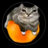 goofygriddler84