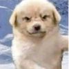 benito.wasa