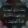 .layan.taher