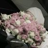 shahd_zr003