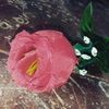 16vtr_rientin