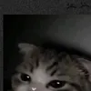 userj01ahc3gua