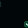 triaanii__