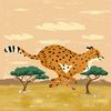 hasnain.mehmood.s