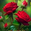 user9308195851698