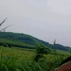 dungnguyenvinhdun