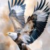 ghulamnabi3668