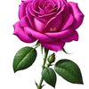 maya_gurung590