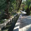 foufa2258