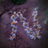 nour_ritta