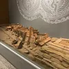 ngannguyen2571